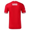 Officiële Voetbalshirt Twente Thuis 2024-25 - Heren